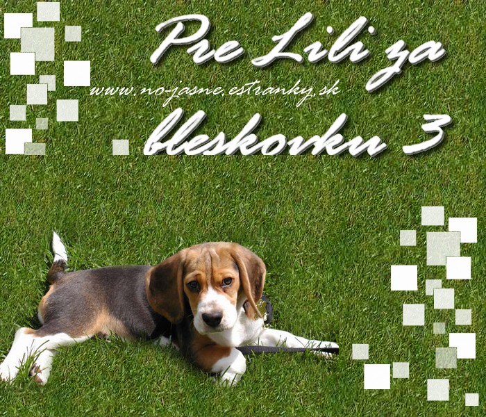 bleskovka3l.jpg
